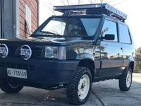 usata Fiat Panda 4x4 1.0 Trekking