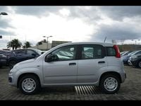 Usata Fiat Panda Lounge 69 CV (50 kW) 2020 Grigio metallizzato Utilitaria