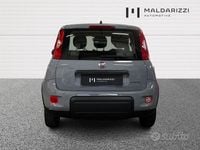 Usata Fiat Panda S 70 CV (51 kW) 2023 Grigio Utilitaria