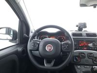 Usata Fiat Panda City Life 71 CV (52 kW) 2022 Bianco Utilitaria