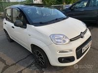 Usata Fiat Panda Easy 69 CV (50 kW) 2020 Bianco Berlina