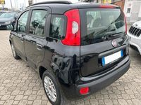 usata Fiat Panda 1.2 Pop OK NEOPATENTATI