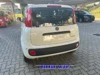 Nuova Fiat Panda Icon 69 CV (50 kW) 2026 Bianco Utilitaria