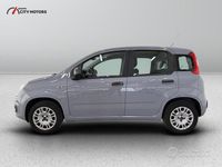 Usata Fiat Panda Pop 69 CV (50 kW) 2018 Grigio Utilitaria
