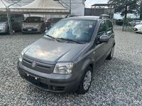Usata Fiat Panda Dynamic 70 CV (51 kW) 2010 Grigio Utilitaria