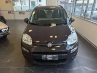 Usata Fiat Panda Lounge 75 CV (55 kW) 2014 Other Utilitaria