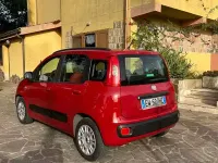Usata Fiat Panda Lounge 69 CV (50 kW) 2014 Rosso Utilitaria