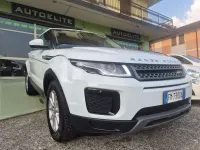 Usata Land Rover Range Rover evoque SE 150 CV (110 kW) 2017 Bianco SUV