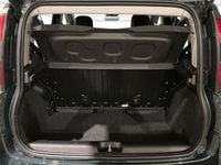 Usata Fiat Panda Cross Cross 70 CV (51 kW) 2025 Verde foresta Utilitaria