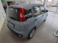 Usata Fiat Panda Easy 69 CV (50 kW) 2020 Grigio Berlina
