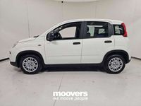 Usata Fiat Panda S 70 CV (51 kW) 2024 Bianca Utilitaria
