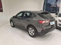 usata Ford Kuga 1.5 EcoBlue 120CV 2WD Connect