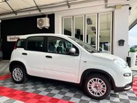 usata Fiat Panda 1.0 FireFly S&S Hybrid * PROMO *