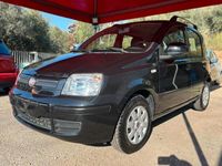 usata Fiat Panda 1.2 Dynamic/POCHI KM /DISTRIBUZIONE FAT