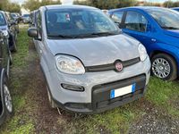 Usata Fiat Panda S 70 CV (51 kW) 2023 Grigio moda Utilitaria