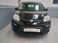 Usata Fiat Panda S 70 CV (51 kW) 2023 Nero Utilitaria