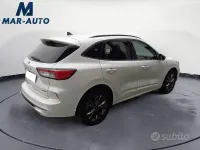 Usata Ford Kuga ST-Line X 190 CV (139 kW) 2022 Bianco SUV