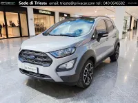 Usata Ford Ecosport Active 125 CV (91 kW) 2022 Grigio SUV