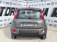 Usata Fiat Panda S 69 CV (50 kW) 2023 Grigio Utilitaria