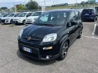 Usata Fiat Panda Sport 69 CV (50 kW) 2021 Grigio Utilitaria