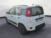 Usata Fiat Panda 69 CV (50 kW) 2021 Bianco Utilitaria