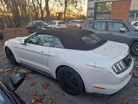 usata Ford Mustang Cabrio Convertible 2.3 EcoBoost aut. usato