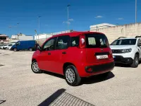 Usata Fiat Panda Easy 69 CV (50 kW) 2020 Rosso Utilitaria