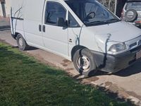 Immagine 3