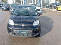 Usata Fiat Panda S 69 CV (50 kW) 2024 Nero Berlina