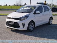 Usata Kia Picanto Urban 65 CV (47 kW) 2021 Bianco Utilitaria