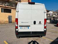 Usata Fiat E-Ducato 89 kW (122 CV) 2021 Bianco Berlina