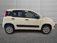 Usata Fiat Panda 4x4 Pop 84 CV (61 kW) 2020 Bianco Utilitaria