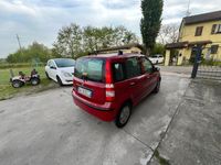 usata Fiat Panda 1.2 Dynamic GPL