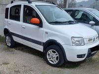Usata Fiat Panda 4x4 69 CV (50 kW) 2006 Bianco Utilitaria