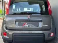 Usata Fiat Panda S 69 CV (50 kW) 2022 Giallo Utilitaria