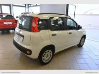Usata Fiat Panda Easy 75 CV (55 kW) 2013 Bianco Utilitaria