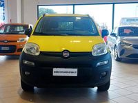 Usata Fiat Panda 4x4 Pop 80 CV (58 kW) 2018 Marrone Utilitaria