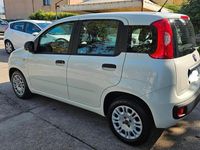 Usata Fiat Panda 95 CV (69 kW) 2018 Bianco Berlina