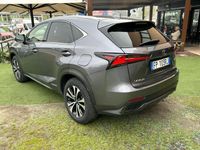 usata Lexus NX300 2.5 F Sport 4wd CVT Hybrid 75000km