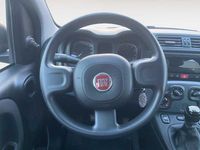 Usado Fiat Panda City Life 70 CV (51 kW) 2021 Gris Utilitario