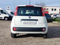 Usata Fiat Panda S 70 CV (51 kW) 2021 Bianco Utilitaria