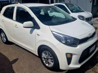 Usata Kia Picanto Urban 67 CV (49 kW) 2024 Bianchissima Utilitaria