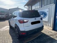 Usata Ford Ecosport Active 125 CV (91 kW) 2021 Bianco SUV