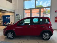 Usata Fiat Panda Icon 69 CV (50 kW) 2024 Rosso Utilitaria