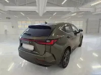 Usata Lexus NX350h 190 CV (139 kW) 2023 Verde SUV