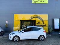 usata Ford Fiesta 1.1 75 CV GPL 5 porte Titanium