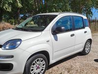 Usata Fiat Panda 86 CV (63 kW) 2013 Bianco Berlina
