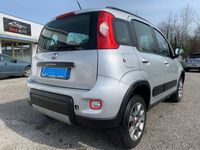 usata Fiat Panda 4x4 1.3 MJT 1.3 MJT 80 CV S&S Lounge Neopatentati Ok