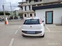 Usata Fiat Punto Evo 90 CV (66 kW) 2010 Bianco Utilitaria