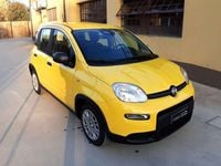 Usata Fiat Panda 69 CV (50 kW) 2024 Giallo Utilitaria